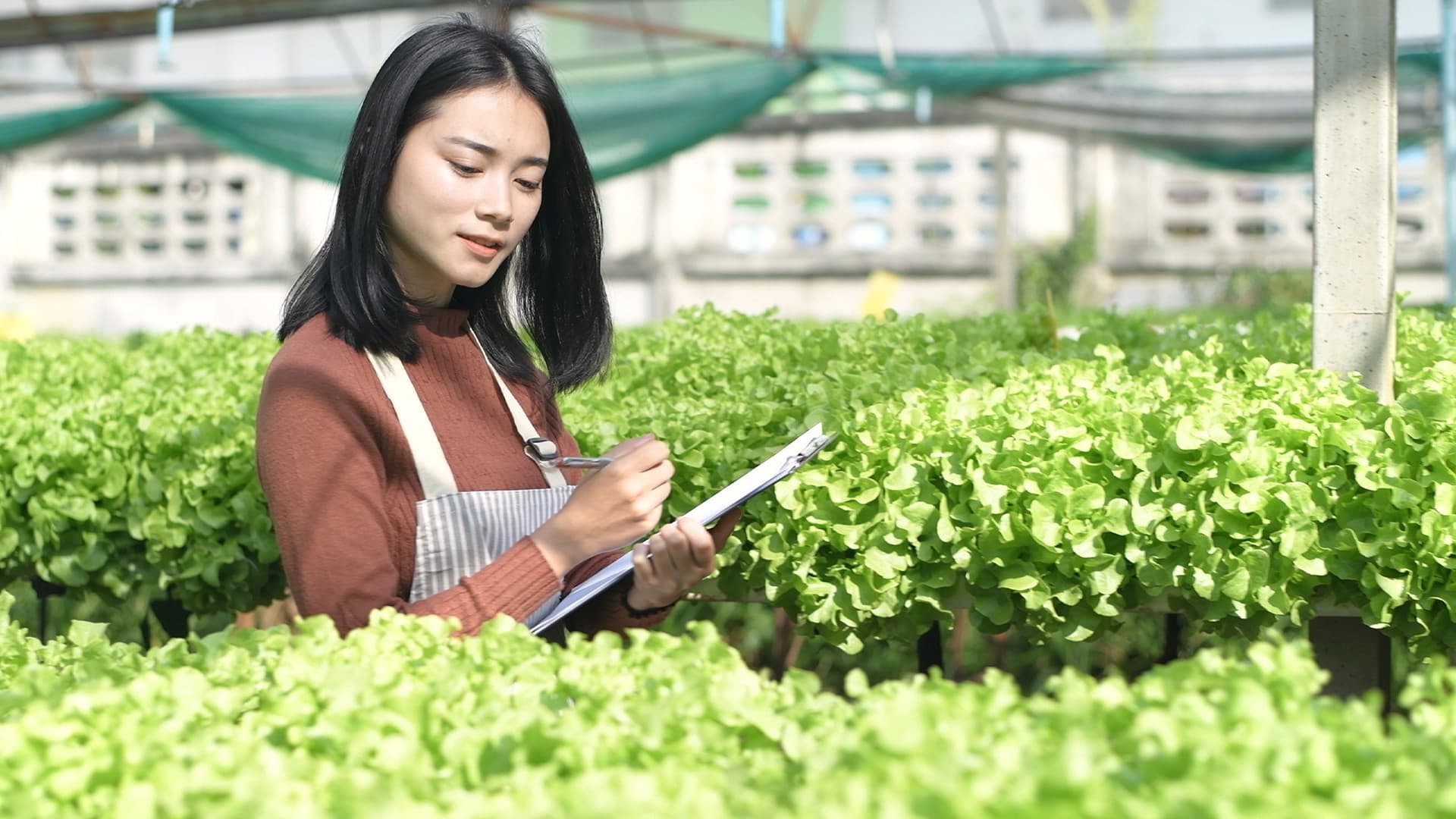 Người làm nghề Nông nghiệp tại Nhật